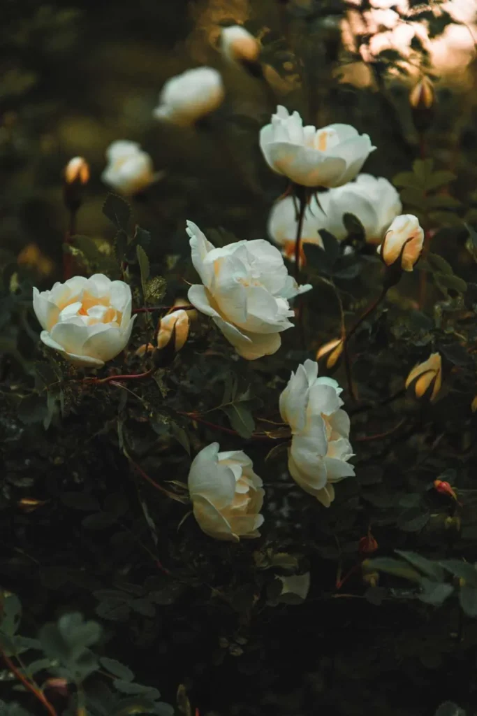 a decoration flowers